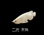 <H[@؋>Vo[Ai(^Jmc)